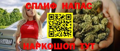 прущие грибы Славгород