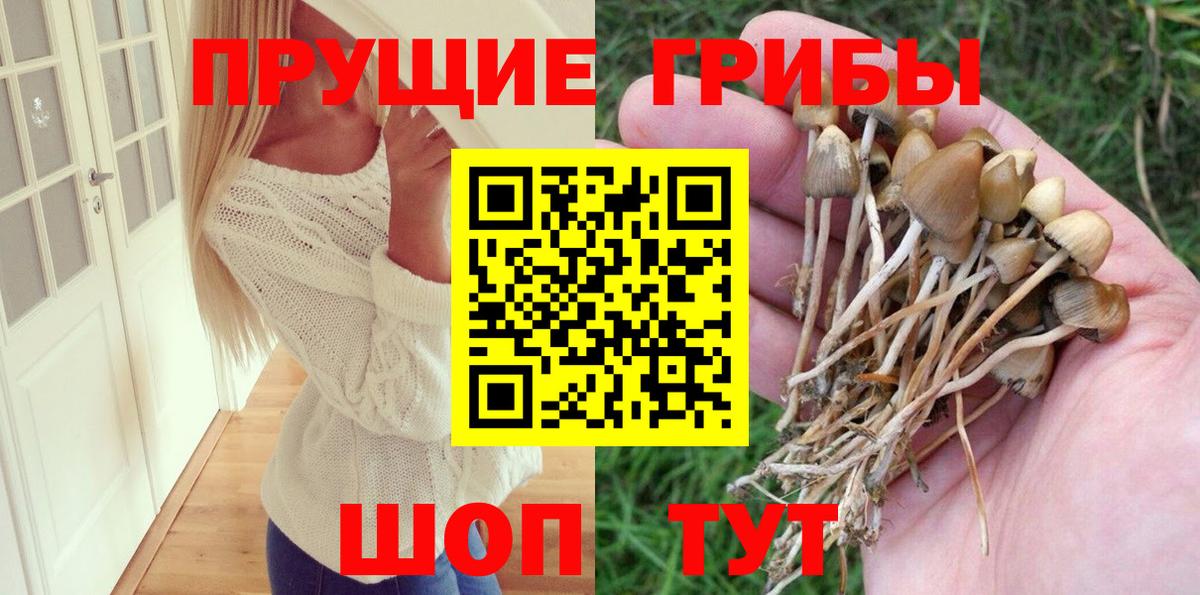 Псилоцибиновые грибы мицелий Аша